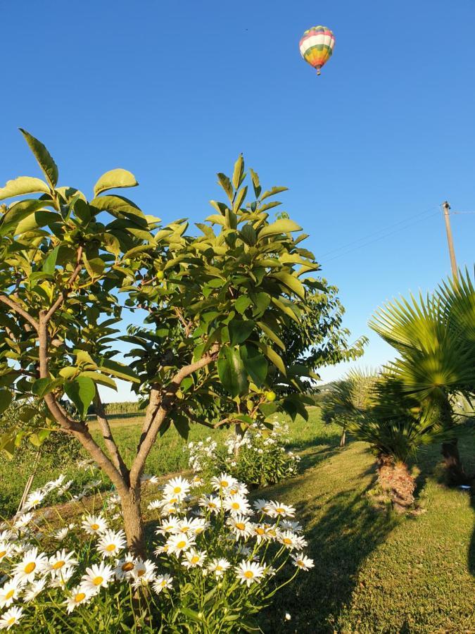 La Dolce Vita Castelfidardo Buitenkant foto