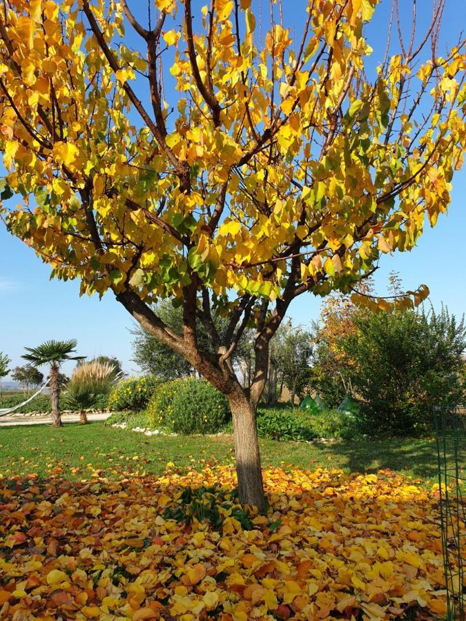 La Dolce Vita Castelfidardo Buitenkant foto