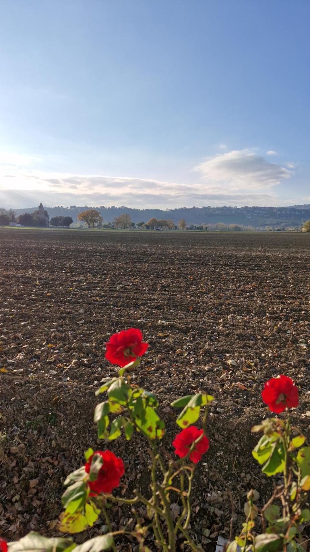 La Dolce Vita Castelfidardo Buitenkant foto