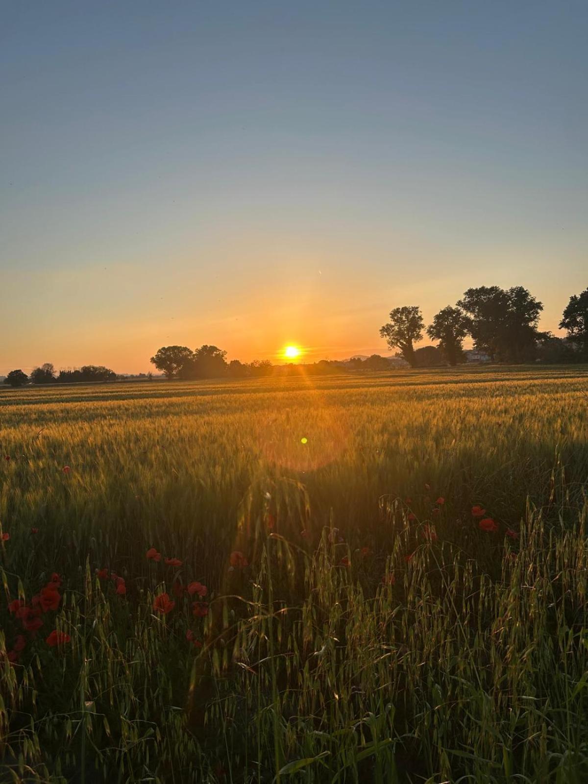 La Dolce Vita Castelfidardo Buitenkant foto